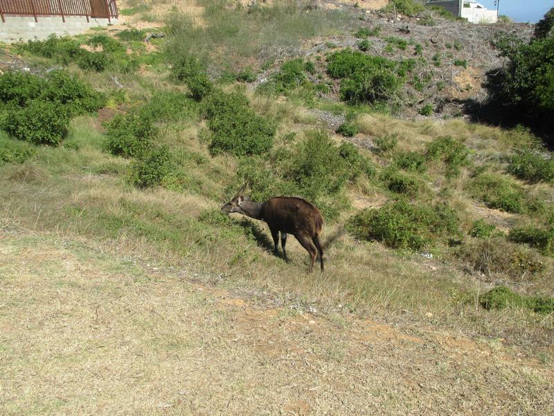 4 Bedroom Property for Sale in Dana Bay Western Cape